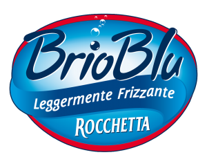 brioblu-logo brioblu-logo