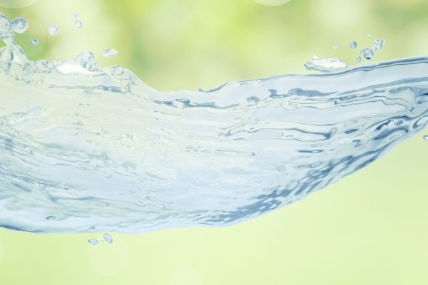 Sapevi che una legge della fisica determina la depurazione renale?