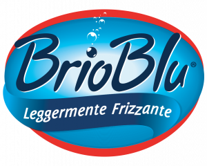 logo_brioblu