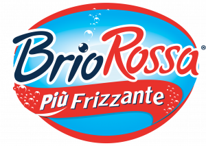 Brio Blu minerale frizzante 24x0.5 lt. Pet 