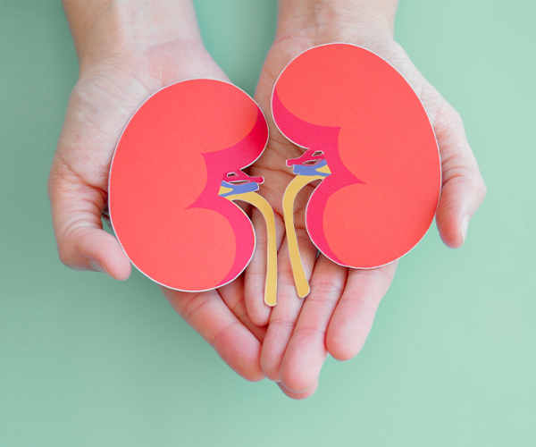 8 regole d’oro per prevenire le malattie renali
