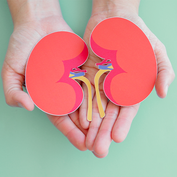 8 regole d’oro per prevenire le malattie renali