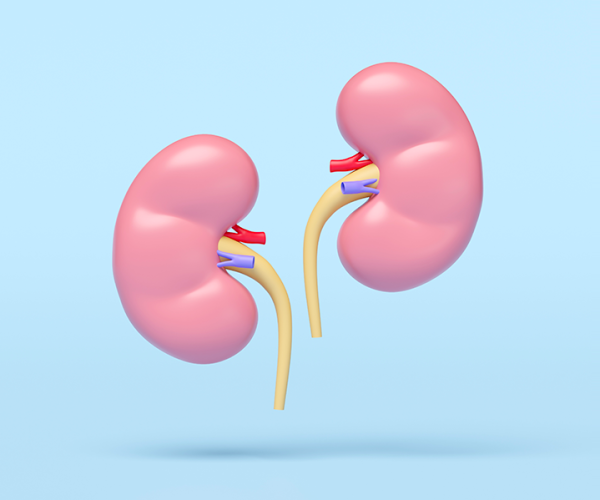 Giornata mondiale del rene: prevenire le malattie renali