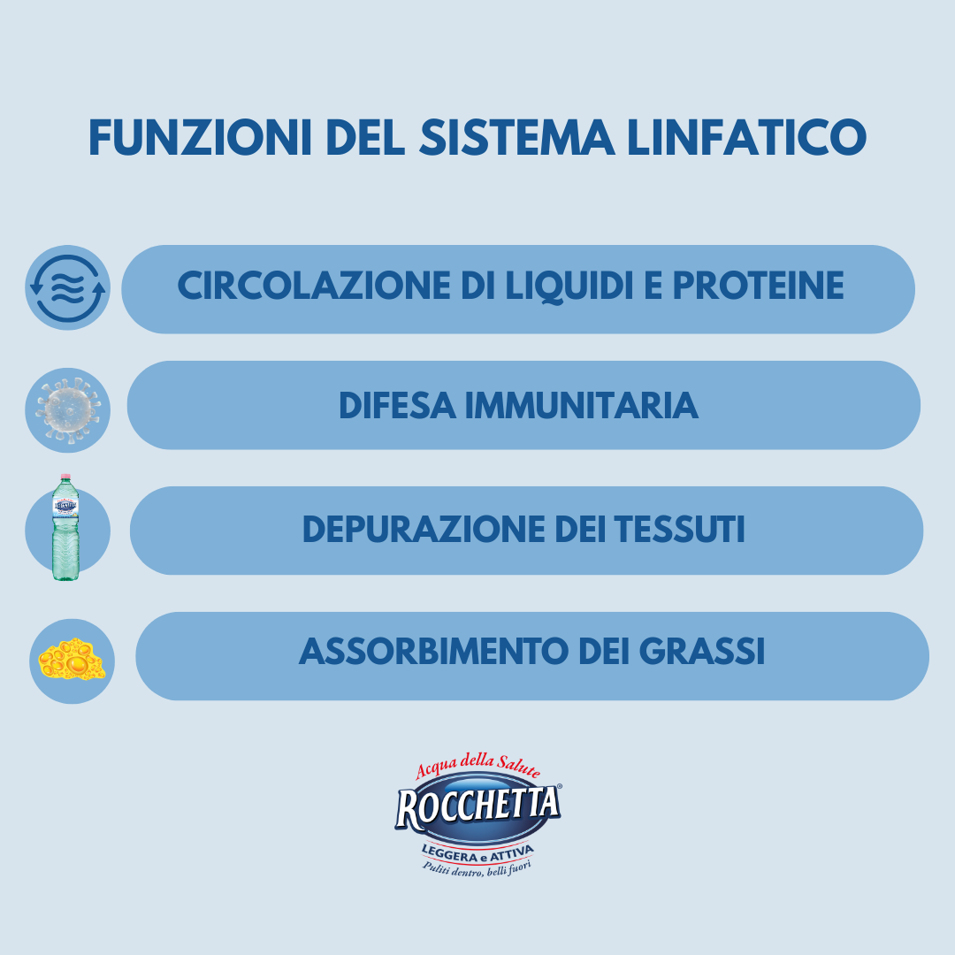 funzioni del sistema linfatico