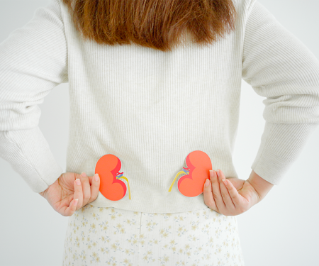 Calcoli renali nelle donne: fattori di rischio in gravidanza e menopausa | Acqua Rocchetta