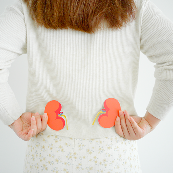 Calcoli renali nelle donne: fattori di rischio in gravidanza e menopausa